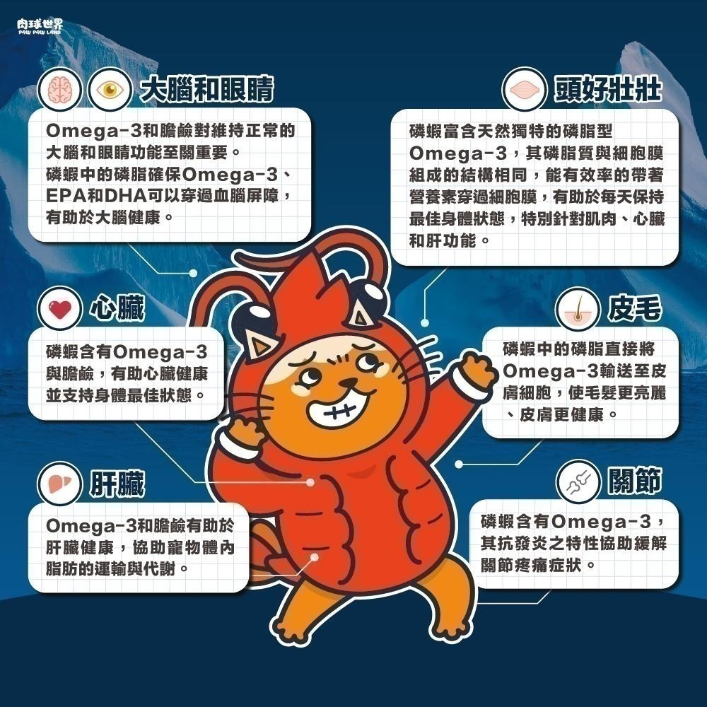 肉球世界 南極磷蝦大肉包 45g 貓餐包 貓主食餐包 餐包 每包添加１％南極磷油-細節圖3