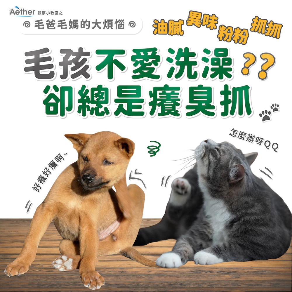 【Aether依鈦】寵物乾洗澡200ML 天冷洗澡 高齡毛孩 不碰水 乾洗澡噴霧 毛孩身體清潔 抑菌 消臭 散步清潔-細節圖5