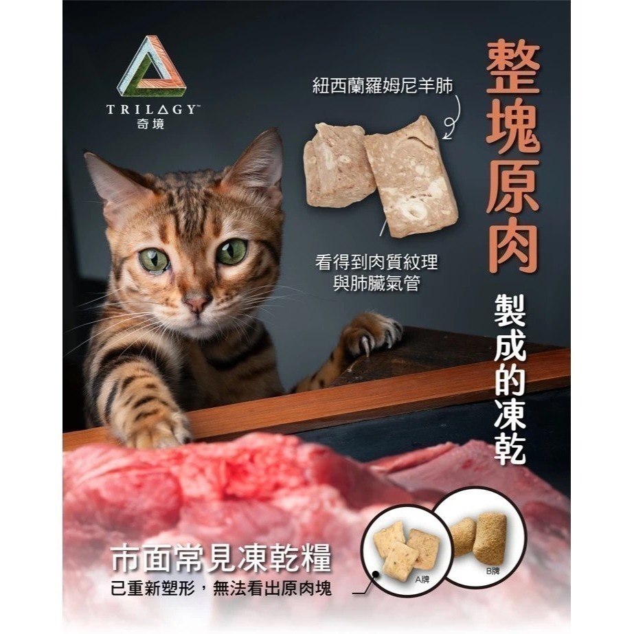 奇境 Trilogy 無穀全貓糧+羊肺凍乾 1.8kg 無穀貓飼料 凍乾貓飼料 全齡貓飼料 貓飼料 貓糧-細節圖3