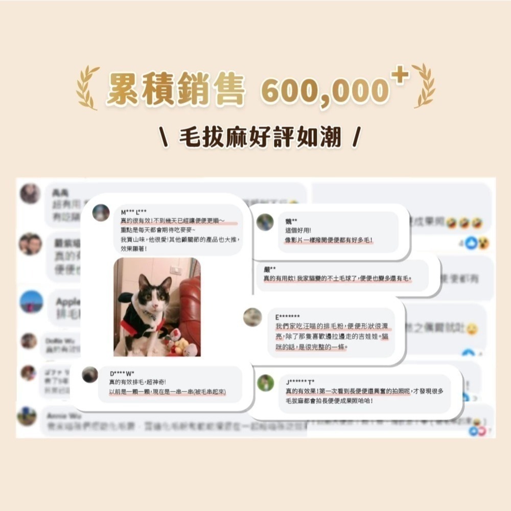 汪喵星球 排毛粉 寵物天然排毛粉 取代化毛膏 助腸胃蠕動 天然植物纖維 吐毛球-細節圖10