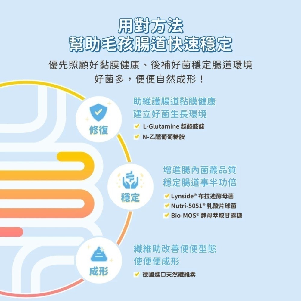 汪喵星球 軟便剋星1.5gx20包  益生菌 腸道穩定 便便好成形 舒緩軟便 布拉迪酵母菌 乳酸片球菌-細節圖4