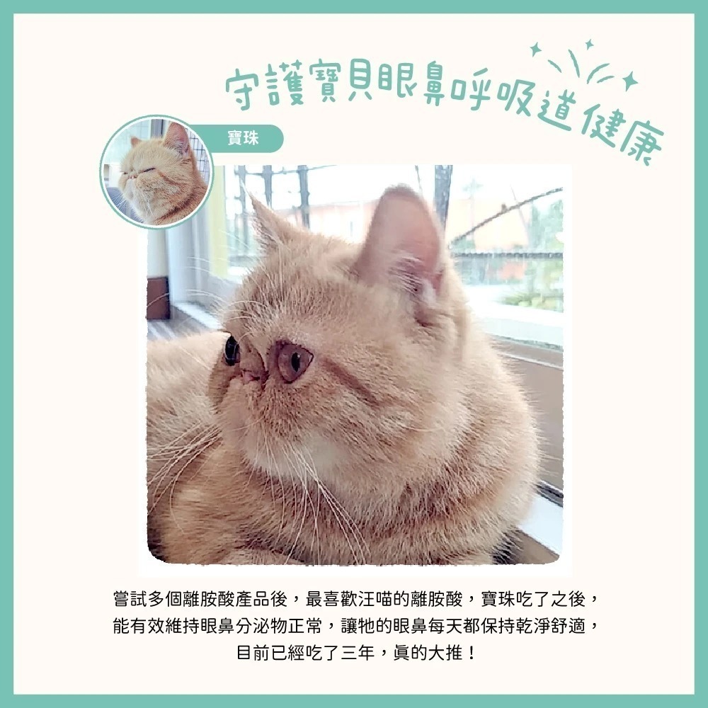 汪喵星球 100% PURE 純離胺酸 50g 純左旋離胺酸 眼鼻分泌物 深褐色眼淚 呼吸道健康-細節圖6