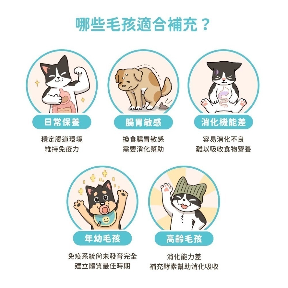 汪喵星球 腸胃益生菌 盒裝30包 2gx30包 腸胃道健康 寵物益生菌 新改版 配方升級-細節圖6