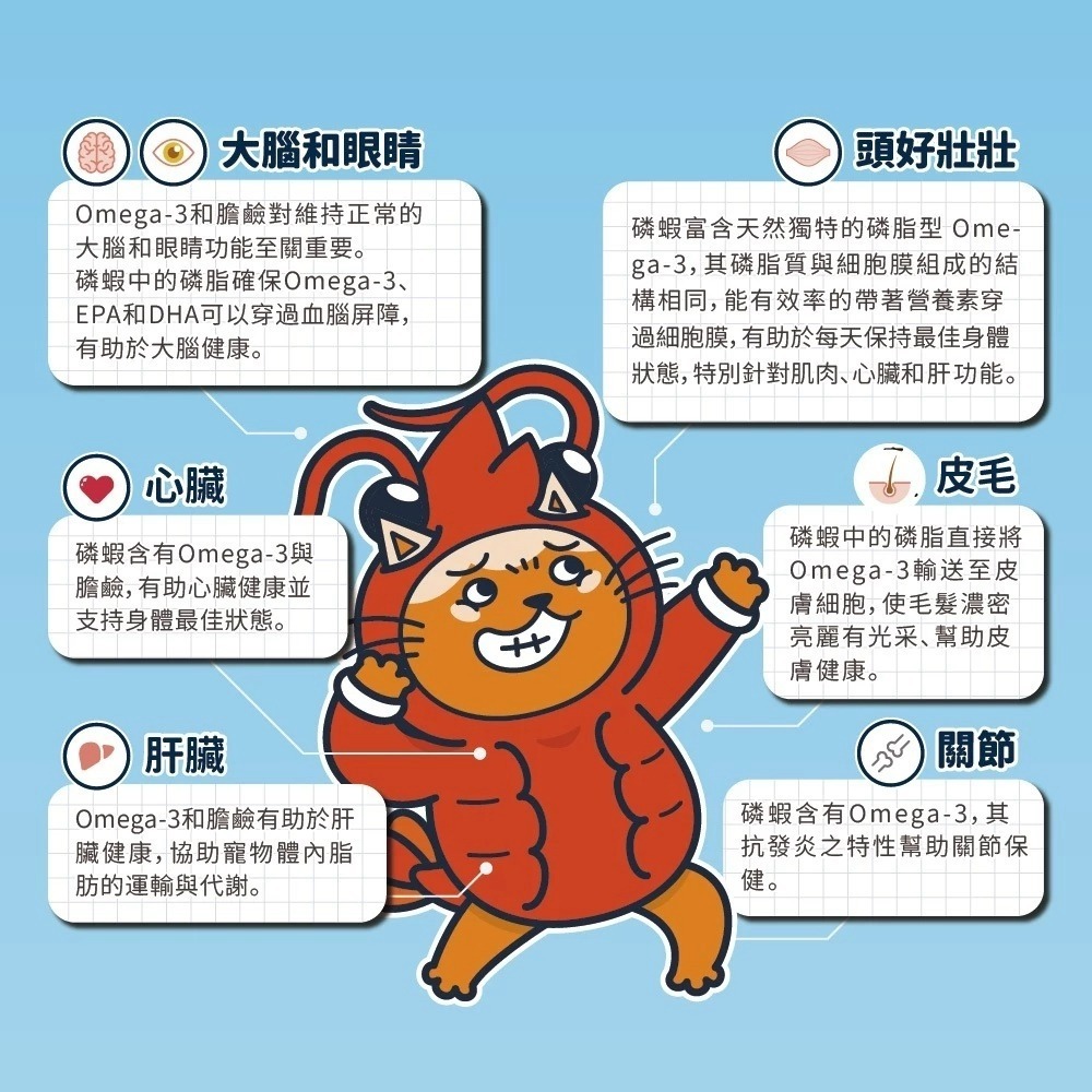 肉球世界 南極磷蝦MAX 貓貓用 | 1.7g好蛋白 | 0腥好美味| 蝦紅素好護毛３ｇｘ３０包-細節圖4