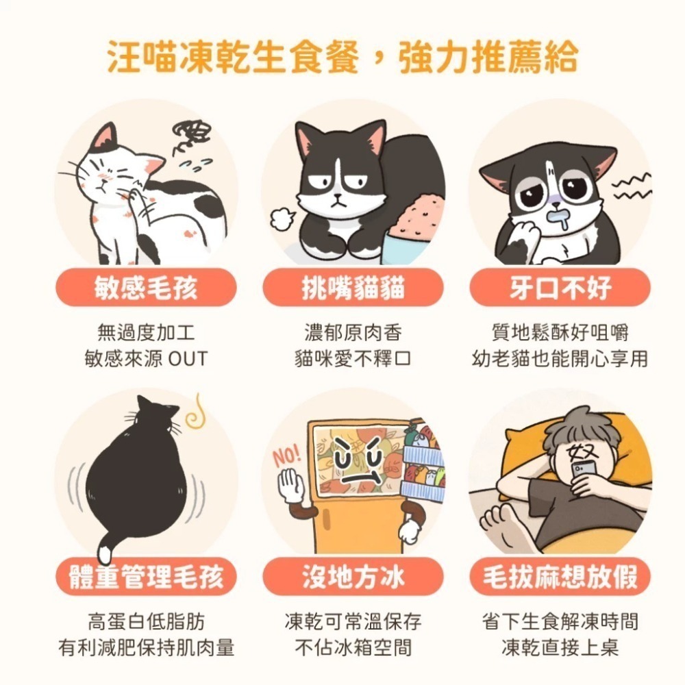 即期品 汪喵星球 台灣製造 貓咪冷凍乾燥主食餐 凍乾生食 凍乾 貓主食 天然低敏 (條型)-細節圖4