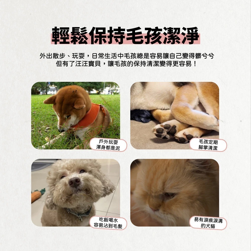 【汪汪寶貝】WOW WOW BABY 寵物清潔加厚濕紙巾(80抽/包)_犬貓適用 加厚加大尺寸 高含水量-細節圖2