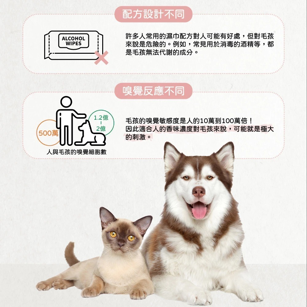 【汪汪寶貝】WOW WOW BABY 寵物清潔加厚濕紙巾(80抽/包)_犬貓適用 加厚加大尺寸 高含水量-細節圖9