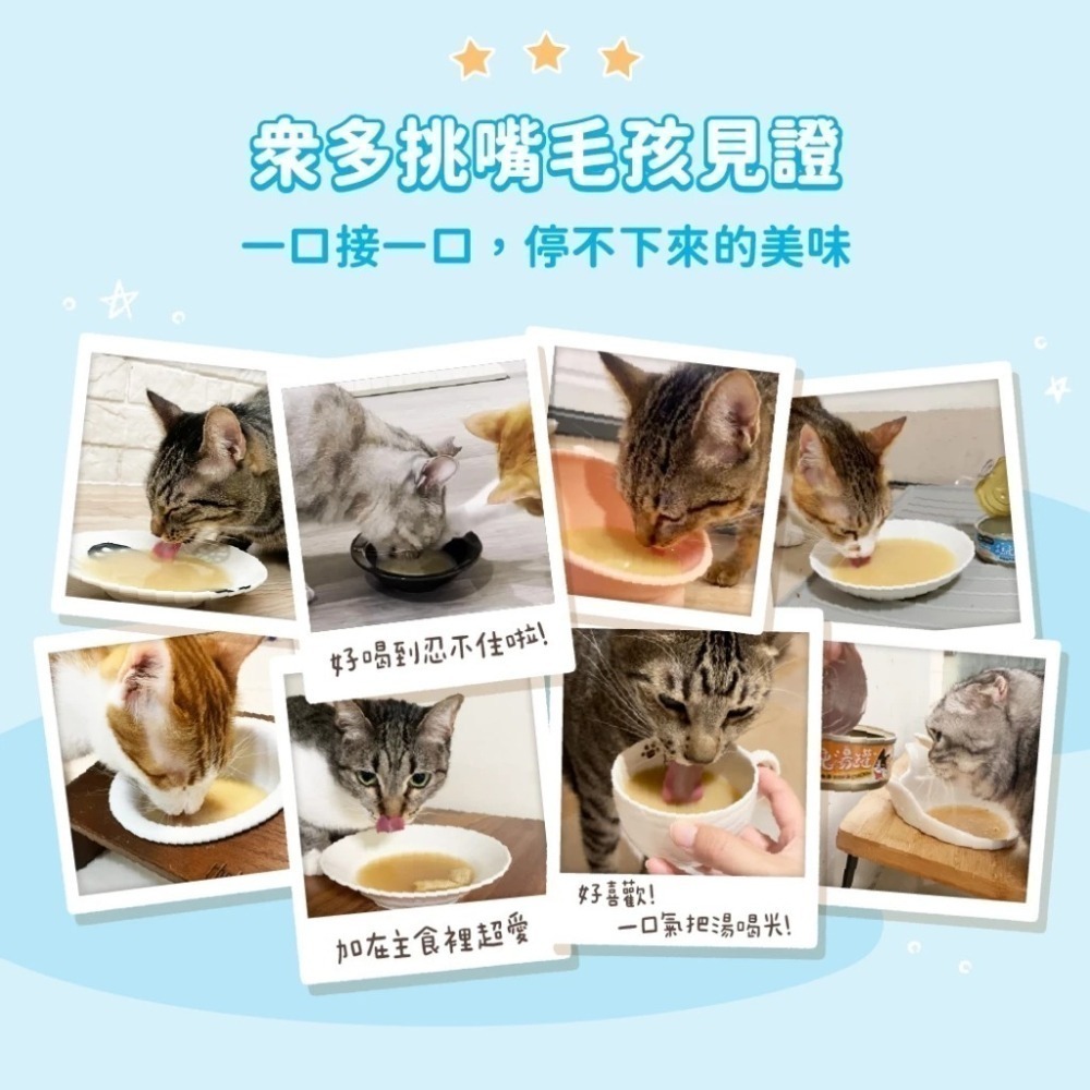 汪喵星球 無膠慢燉純湯罐 單罐 80g 貓罐 貓副食 無膠 湯罐 副食罐-細節圖9