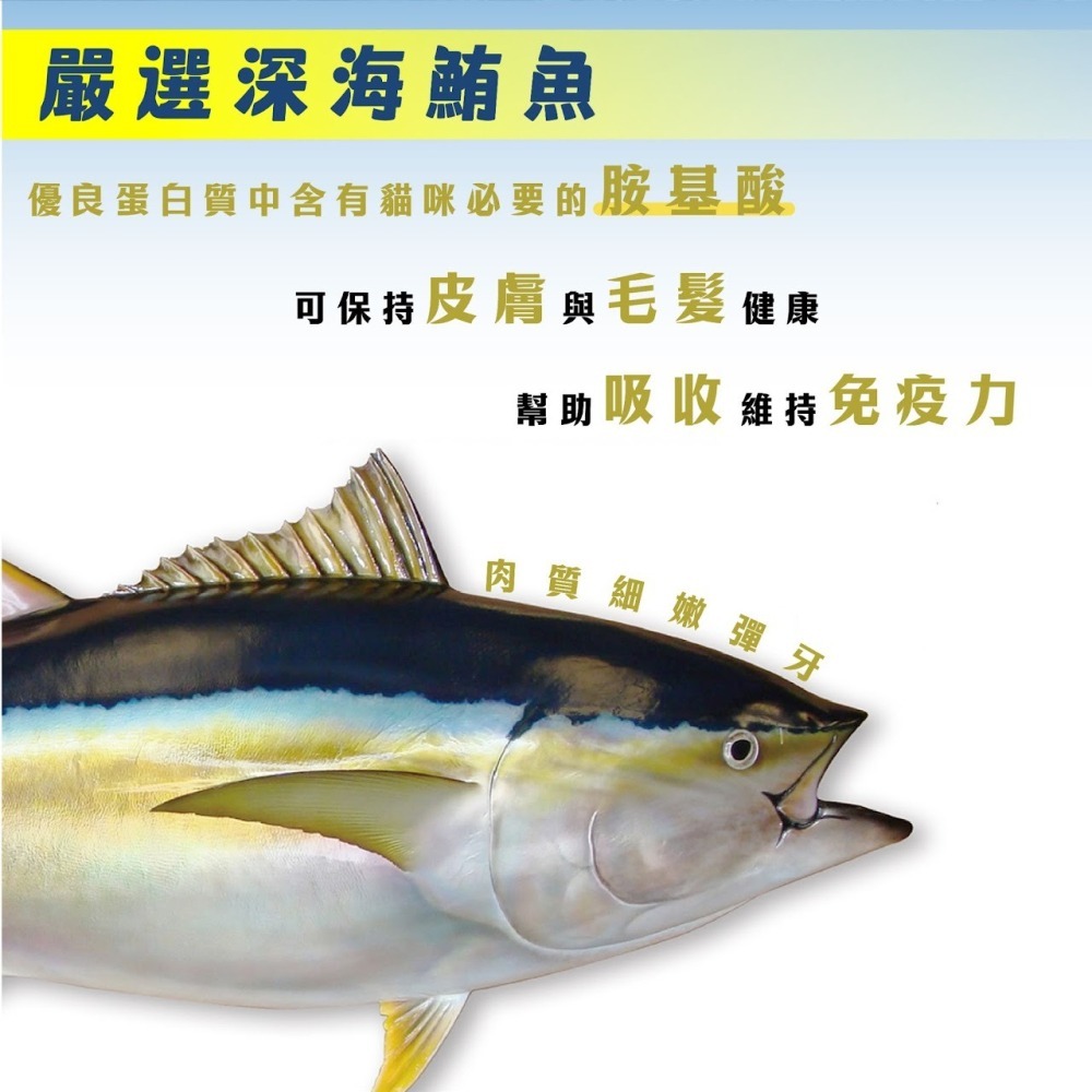 紐崔斯 Nutrience 全方位營養主食貓罐 主食罐 貓 幼貓 成貓-細節圖3
