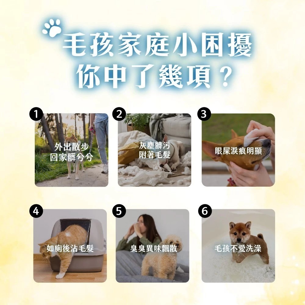 Petto貝多芬 寵物清潔濕巾 10抽 單包 濕紙巾 潔濕巾-細節圖3