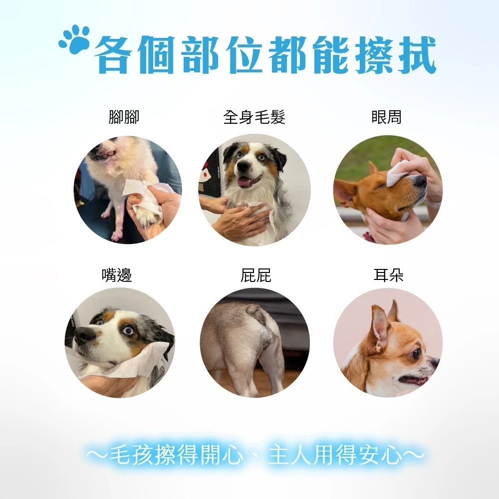 Petto貝多芬 寵物清潔濕巾 10抽 單包 濕紙巾 潔濕巾-細節圖7