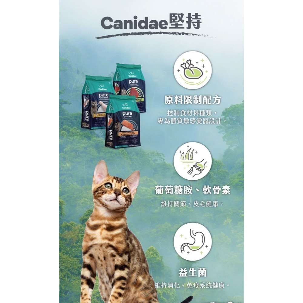 CANIDAE 良善 無穀/有穀全齡貓機能性 貓飼料 貓糧 乾糧 全齡貓 純淨 無穀 系列 全齡貓 低敏感 挑嘴貓適用-細節圖2