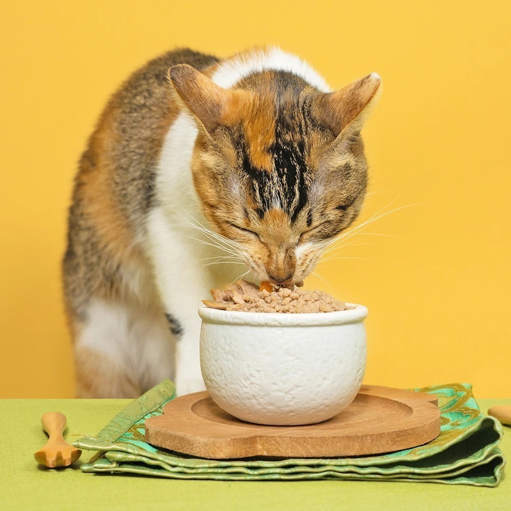 怪獸部落 佛跳牆 澎湃美味四喜罐 80G (貓狗通用) 無膠副食罐 狗副食罐 貓副食 貓咪罐頭 狗狗罐頭 副食罐-細節圖7