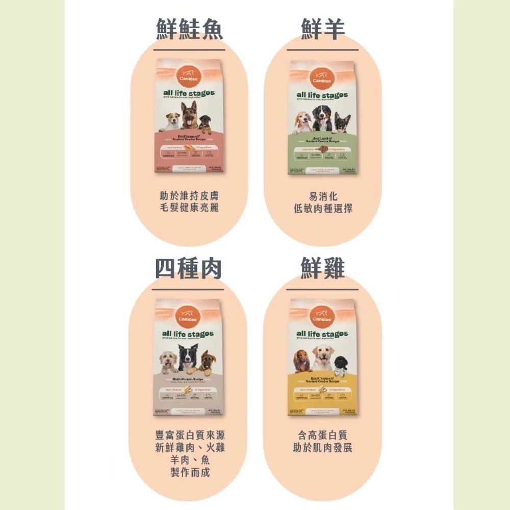 良善 Canidae 全恆全齡系列犬糧 紐頓 全齡犬 鮮雞 四種肉 鮮羊 鮭魚 狗狗乾糧-細節圖4