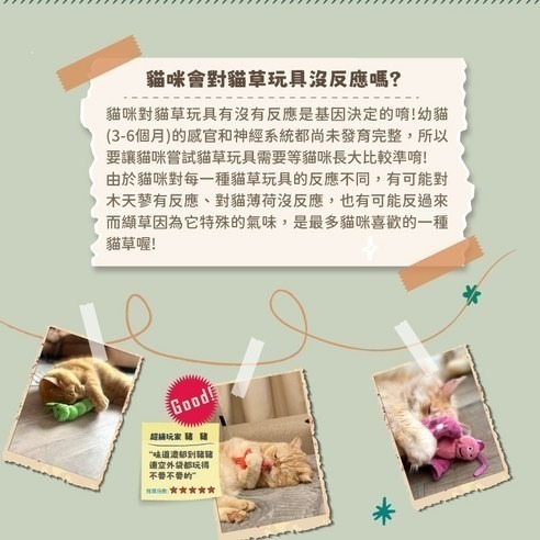 Aumüller 奧咪樂 德國貓草玩具(纈草根、斯佩耳特小麥殼)-細節圖9