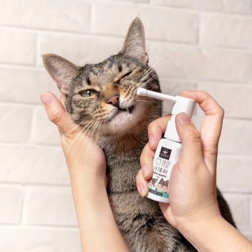 汪喵星球 汪喵潔牙護理酵素 (凝露噴劑型)-細節圖4