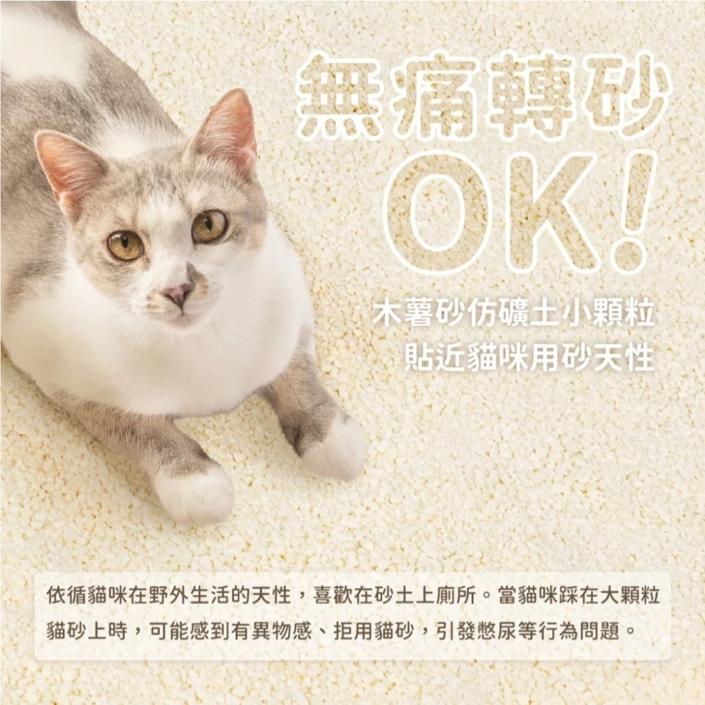 汪喵星球 益生菌消臭瞬凝木薯砂 2.4kg 木薯砂 新款貓砂 單包-細節圖5