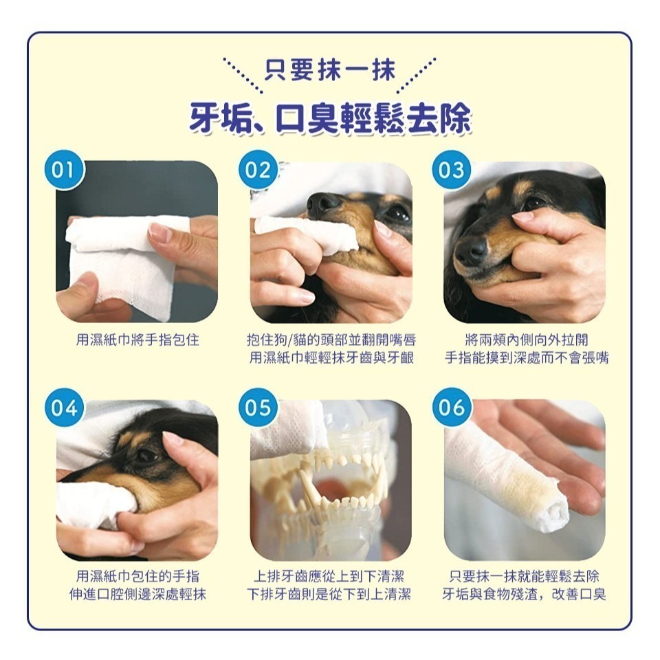 日本獅王親親齒垢清潔紙巾(無香味/蘋果香) 寵物用 齒垢清潔濕巾 30枚-細節圖6