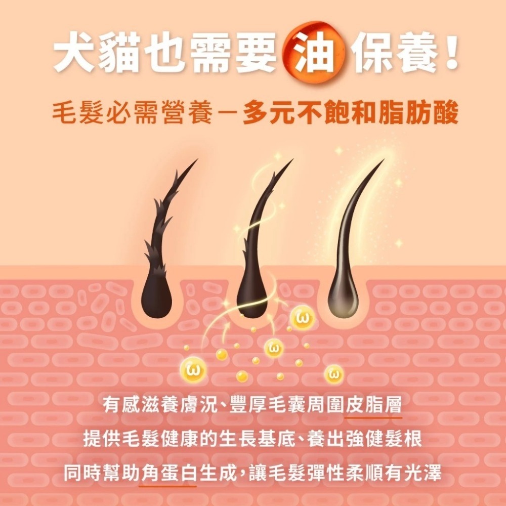 怪獸部落 犬貓綜合營養補給品 牛離Q /益菌排毛粉 / 閃亮魚油 50G 貓犬營養-細節圖5
