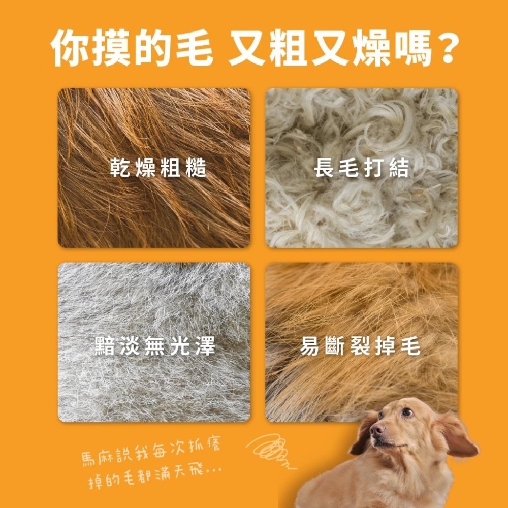 怪獸部落 犬貓綜合營養補給品 牛離Q /益菌排毛粉 / 閃亮魚油 50G 貓犬營養-細節圖6