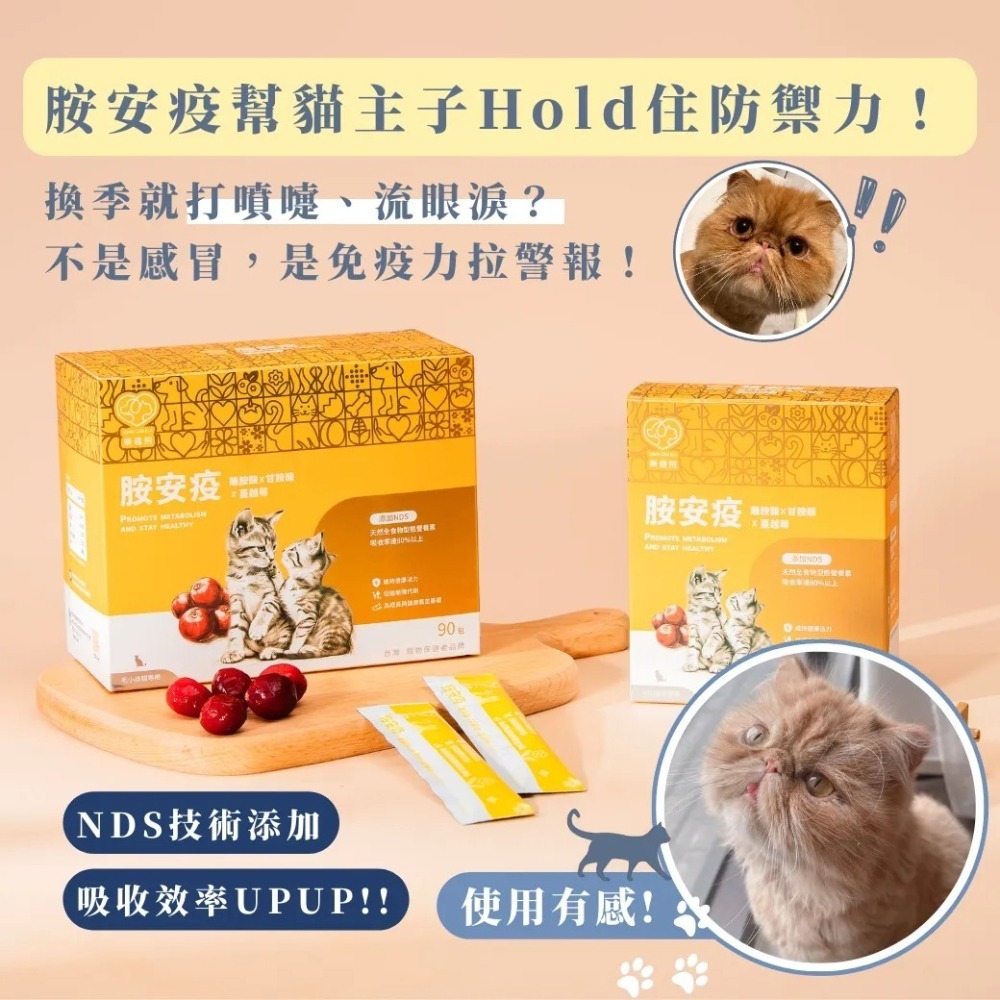 樂健飛 免疫力｜胺安疫 離胺酸+甘胺酸+蔓越莓+NDS技術 (30包/盒)、(90包/盒)-細節圖4