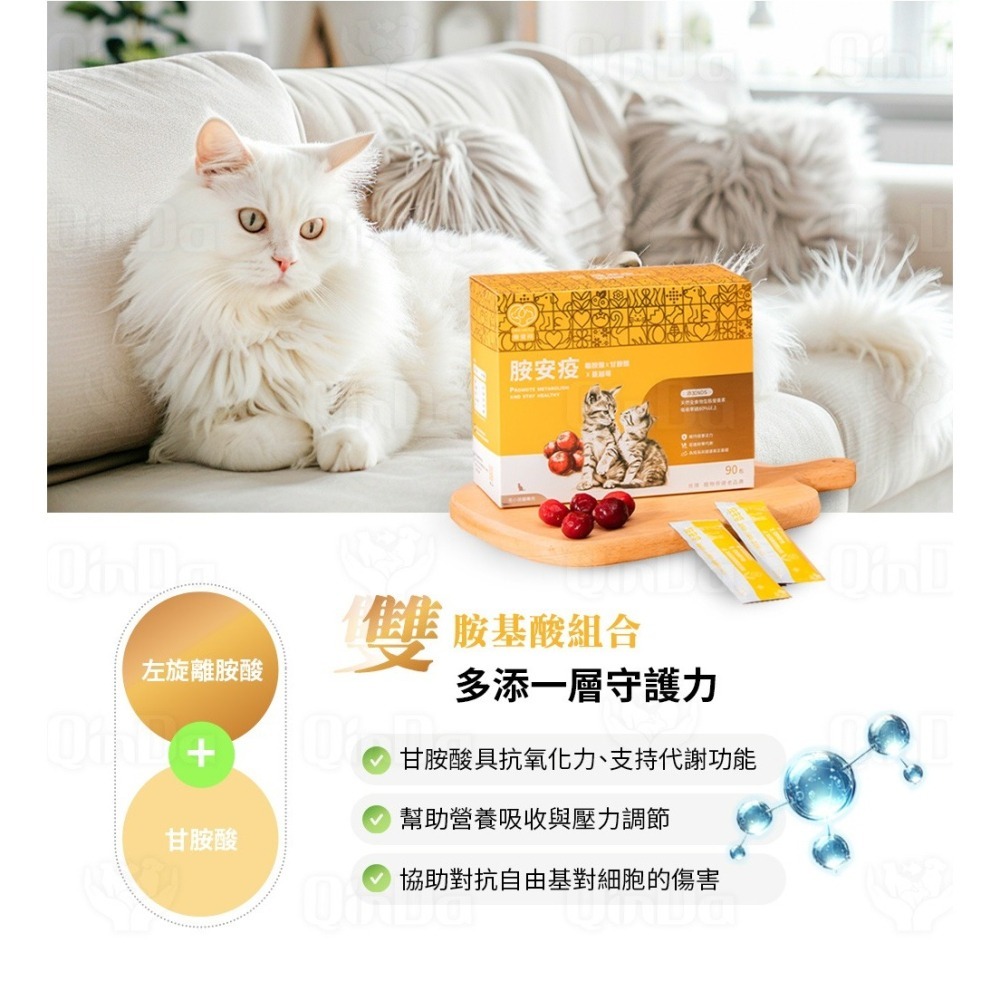 樂健飛 免疫力｜胺安疫 離胺酸+甘胺酸+蔓越莓+NDS技術 (30包/盒)、(90包/盒)-細節圖8