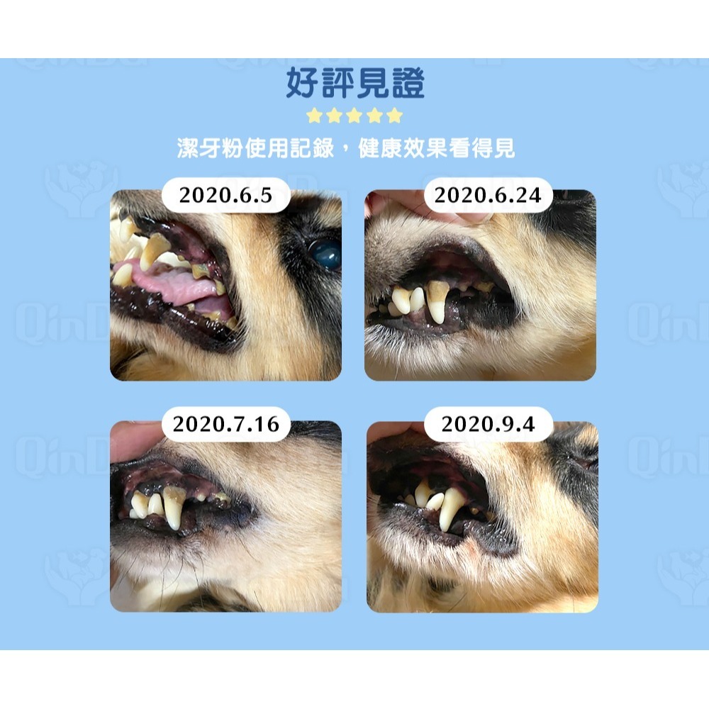 樂健飛 狗狗口腔｜犬用 超級褐藻潔牙粉20G/40G/100G/180G-細節圖5
