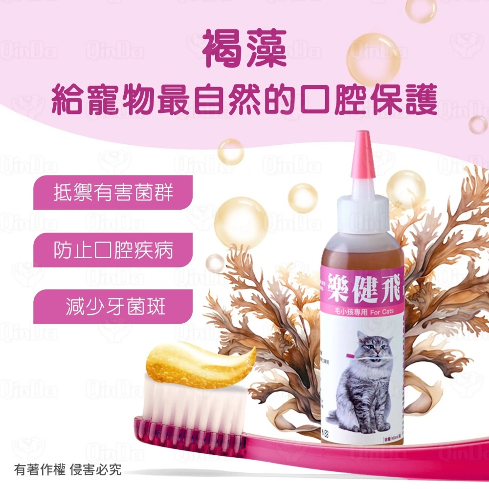 樂健飛 貓貓口腔｜貓用 褐藻潔牙凝膠 160ml-細節圖4