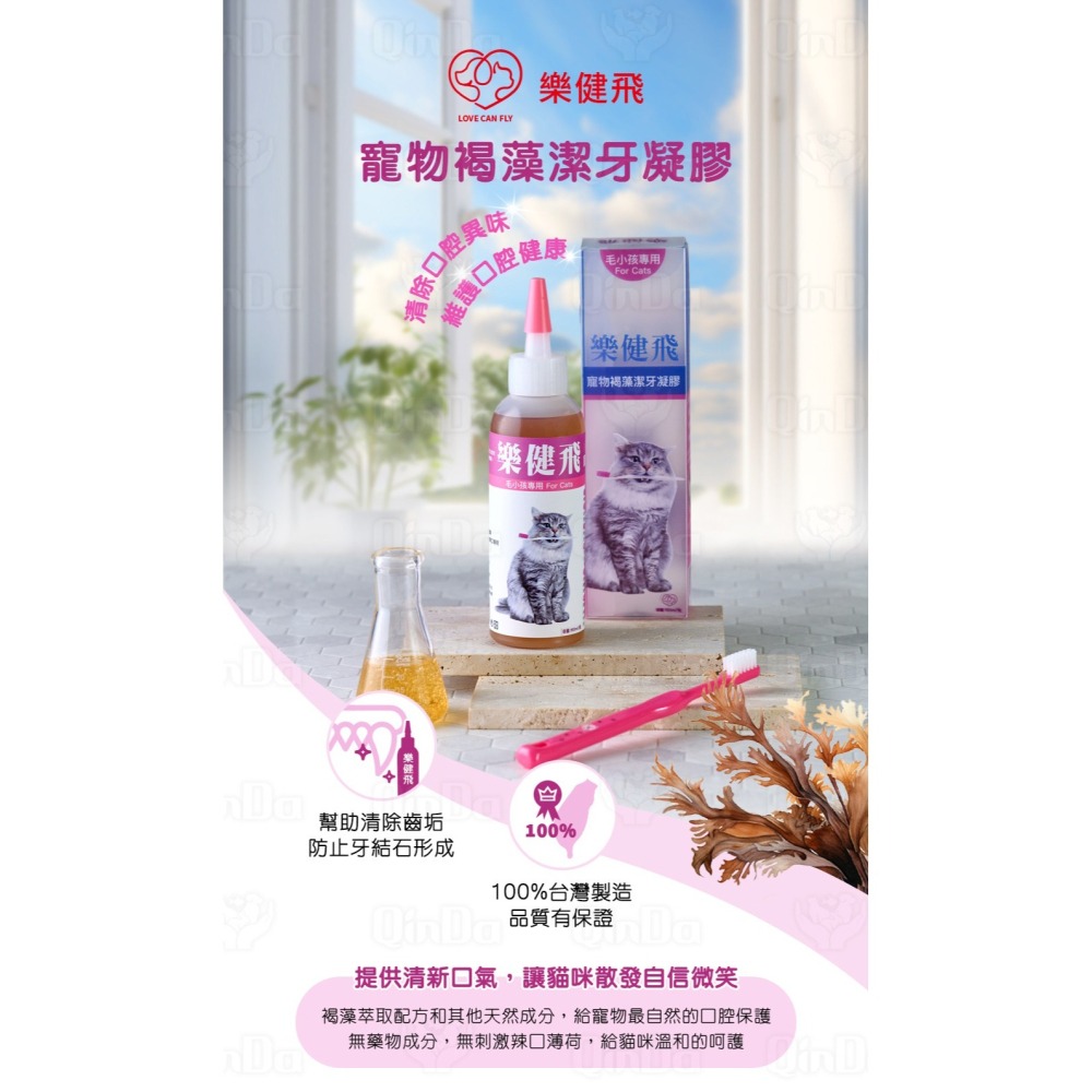 樂健飛 貓貓口腔｜貓用 褐藻潔牙凝膠 160ml-細節圖6