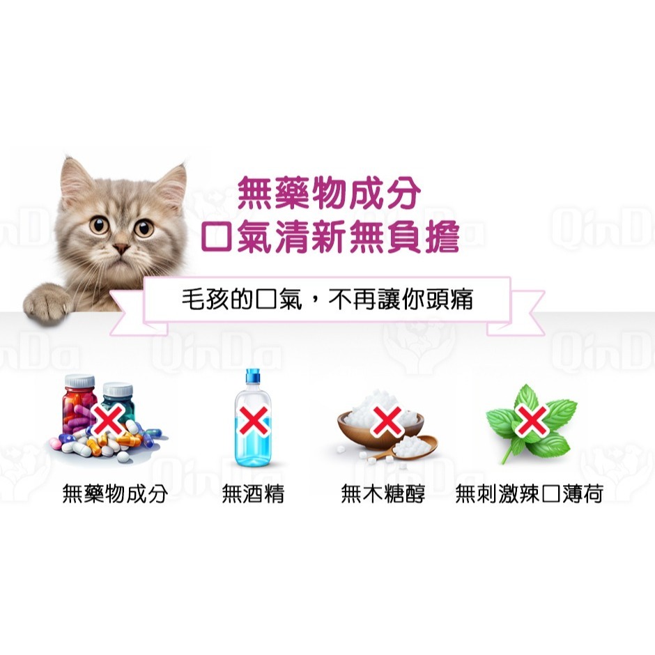樂健飛 貓貓口腔｜貓用 褐藻潔牙凝膠 160ml-細節圖11