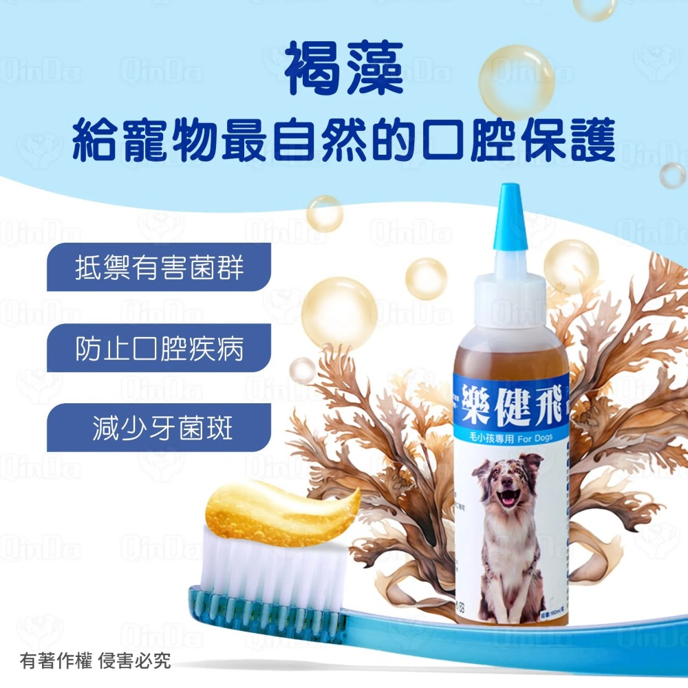 樂健飛 狗狗口腔｜犬用 褐藻潔牙凝膠 160ml-細節圖3