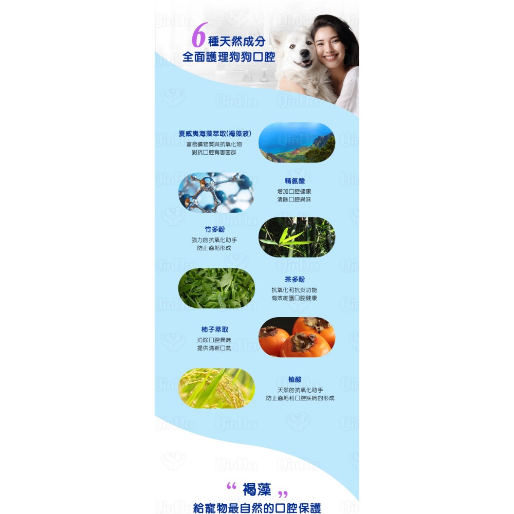 樂健飛 狗狗口腔｜犬用 褐藻潔牙凝膠 160ml-細節圖6