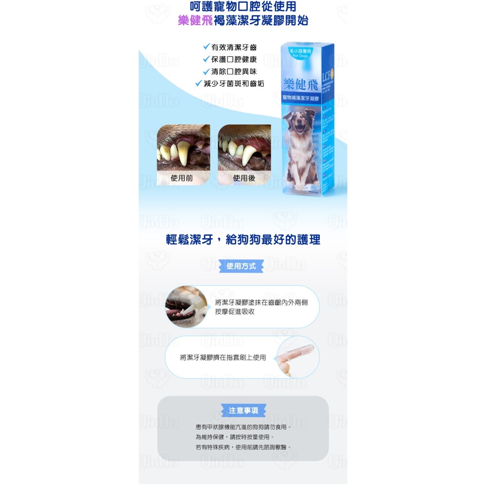 樂健飛 狗狗口腔｜犬用 褐藻潔牙凝膠 160ml-細節圖7