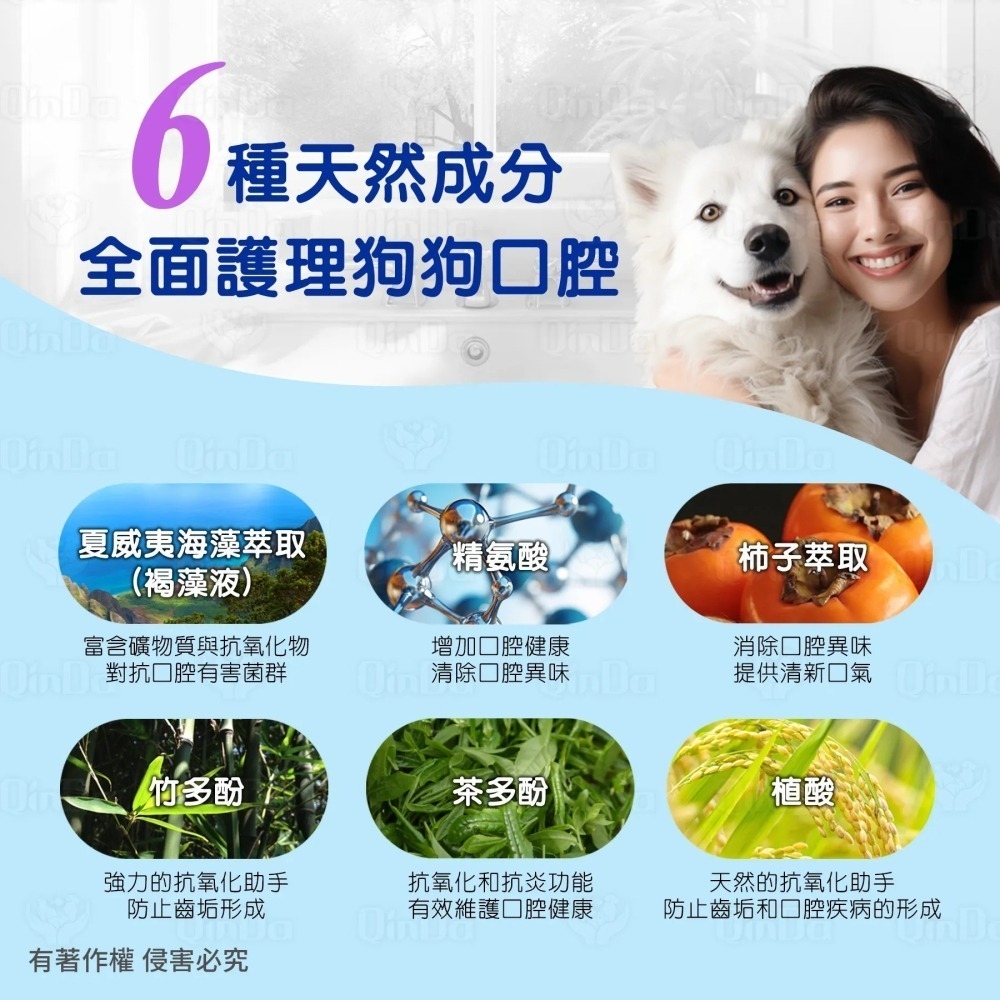 樂健飛 狗狗口腔｜犬用 褐藻潔牙凝膠 160ml-細節圖3