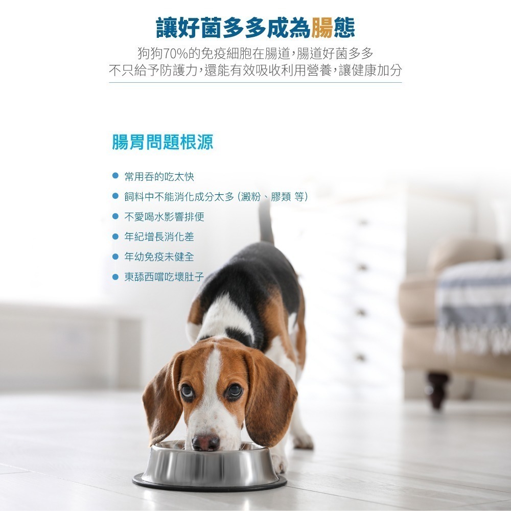 【10月活動 買大送小】木入森 狗狗腸胃益生菌 30包/盒(犬寶變不臭 寵物益生菌 幫助狗消化吸收 減少排便異味)-細節圖4