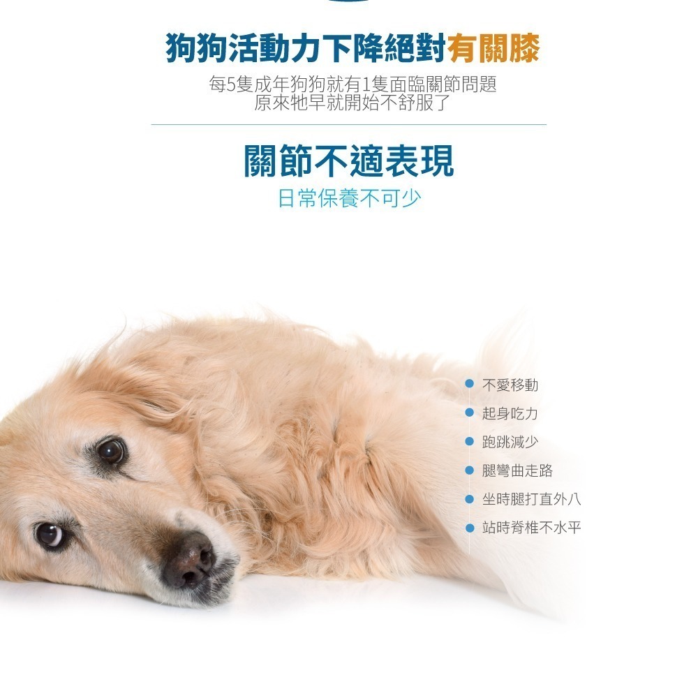 MORESON 木入森 犬寶有關膝60顆(狗狗關節保養 膠原蛋白 玻尿酸)-細節圖3