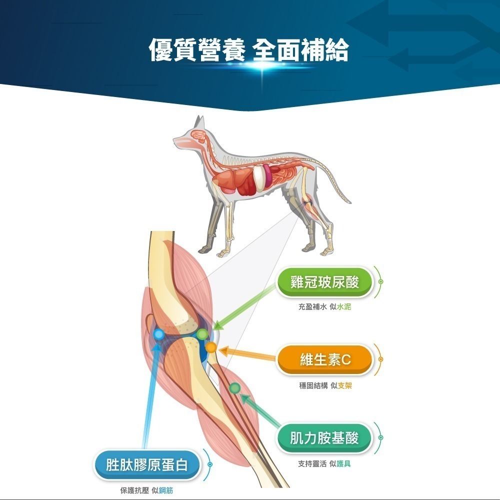 MORESON 木入森 犬寶有關膝60顆(狗狗關節保養 膠原蛋白 玻尿酸)-細節圖10