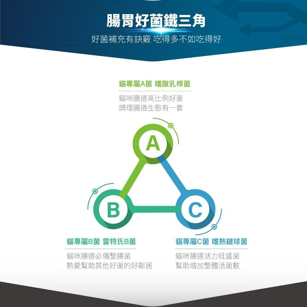 木入森 貓咪活菌寶 貓咪益生菌30包/盒(貓咪益生菌 綜合酵素 貓咪腸胃保健食品 寵物益生菌)-細節圖4