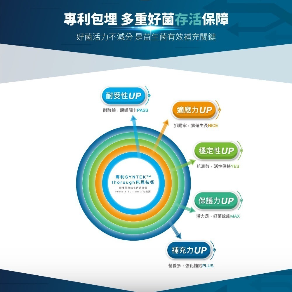 木入森 貓咪活菌寶 貓咪益生菌30包/盒(貓咪益生菌 綜合酵素 貓咪腸胃保健食品 寵物益生菌)-細節圖5