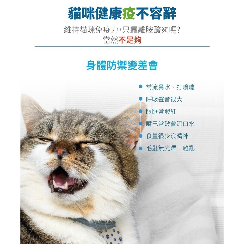 【10月活動 買大送小】MORESON 木入森 護疫升 60粒/盒（貓寶專用保健食品）(綜合營養保健)-細節圖2