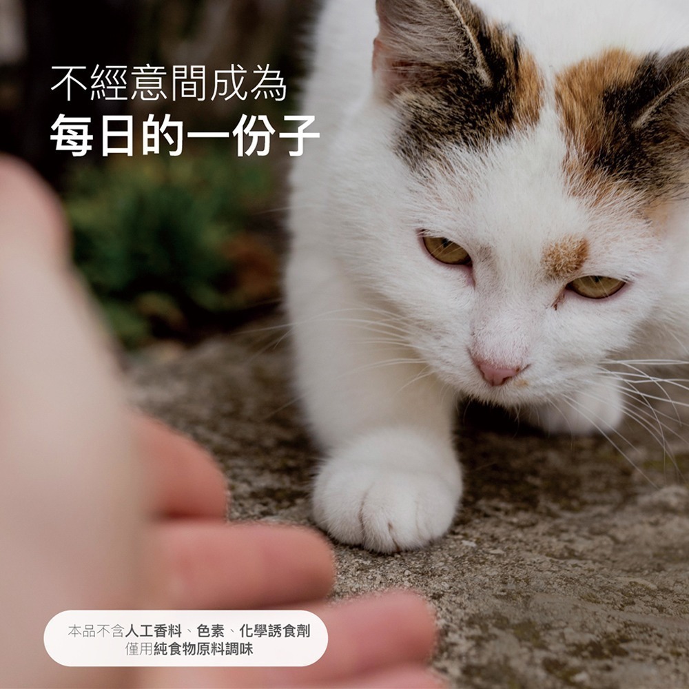 【10月活動 買大送小】MORESON 木入森 護疫升 60粒/盒（貓寶專用保健食品）(綜合營養保健)-細節圖9