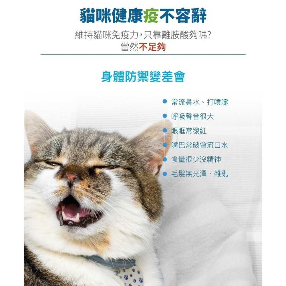 MORESON 木入森 護疫升 60粒/盒（貓寶專用保健食品）(綜合營養保健)-細節圖2