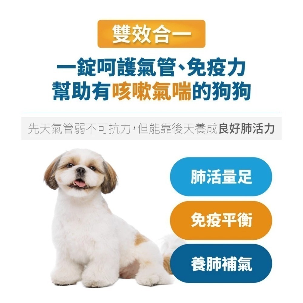 木入森 犬寶氣力升 60顆/盒 狗狗氣管/支氣管/養肺補氣/咳嗽/氣喘/犬寶必備品-細節圖6