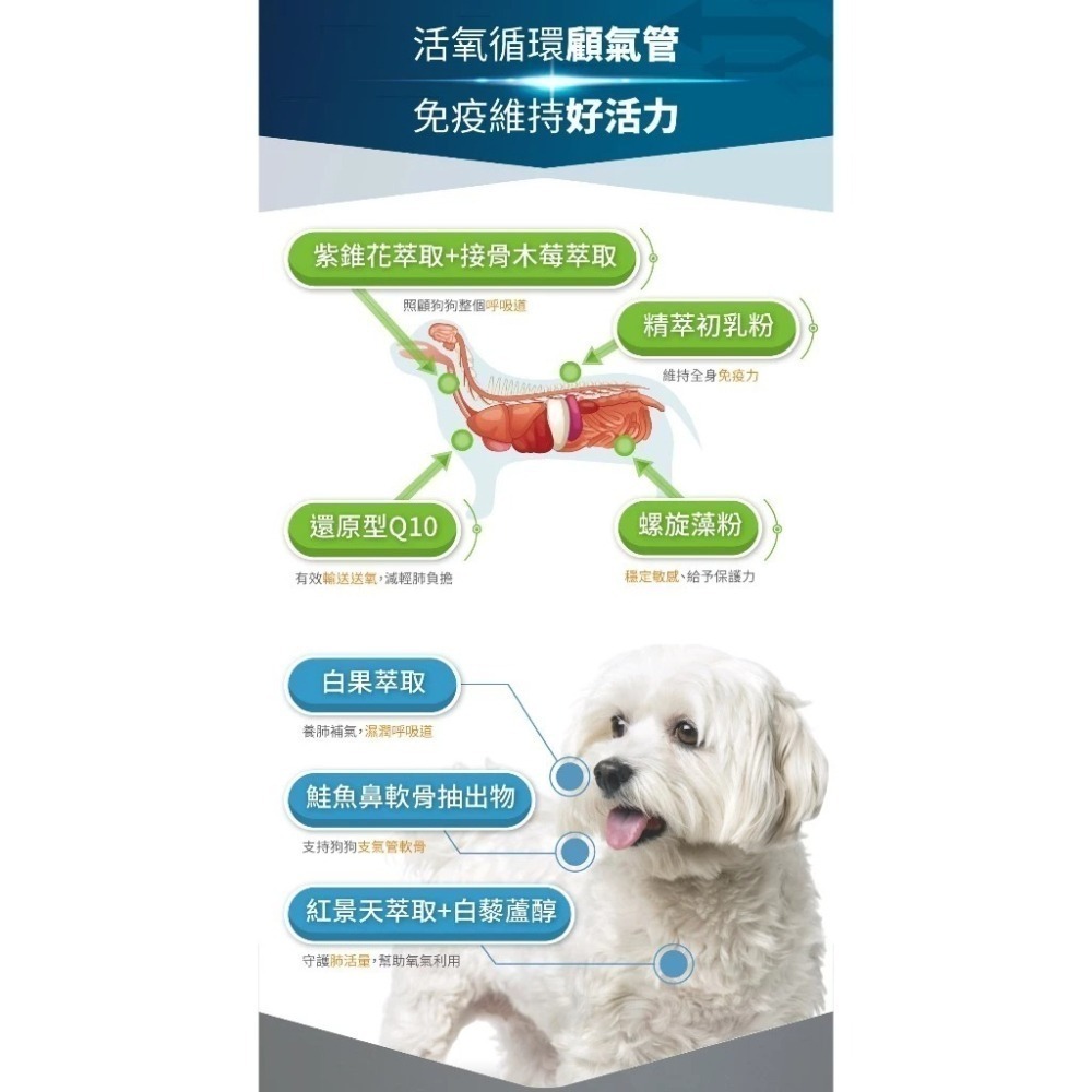 木入森 犬寶氣力升 60顆/盒 狗狗氣管/支氣管/養肺補氣/咳嗽/氣喘/犬寶必備品-細節圖8