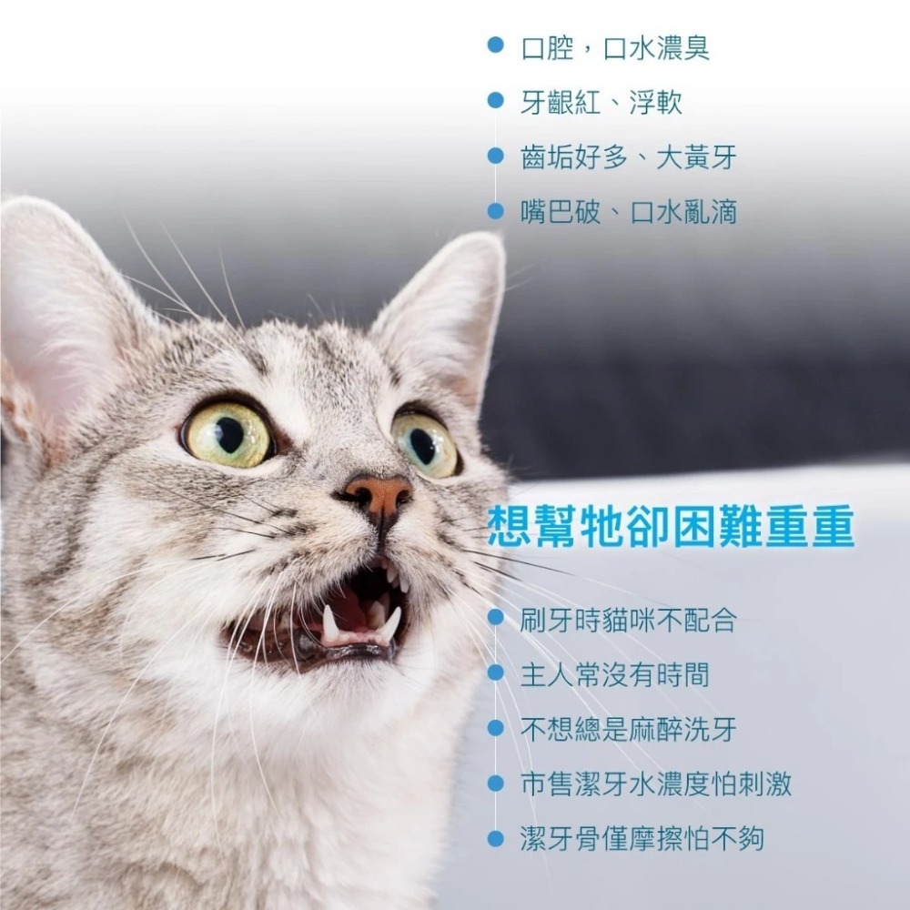 【10月活動 買2送1】MORESON 木入森 貓咪固齒麗口滴劑30ml/罐 貓咪專用 口腔-細節圖2