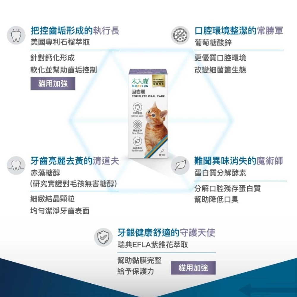 【10月活動 買2送1】MORESON 木入森 貓咪固齒麗口滴劑30ml/罐 貓咪專用 口腔-細節圖4