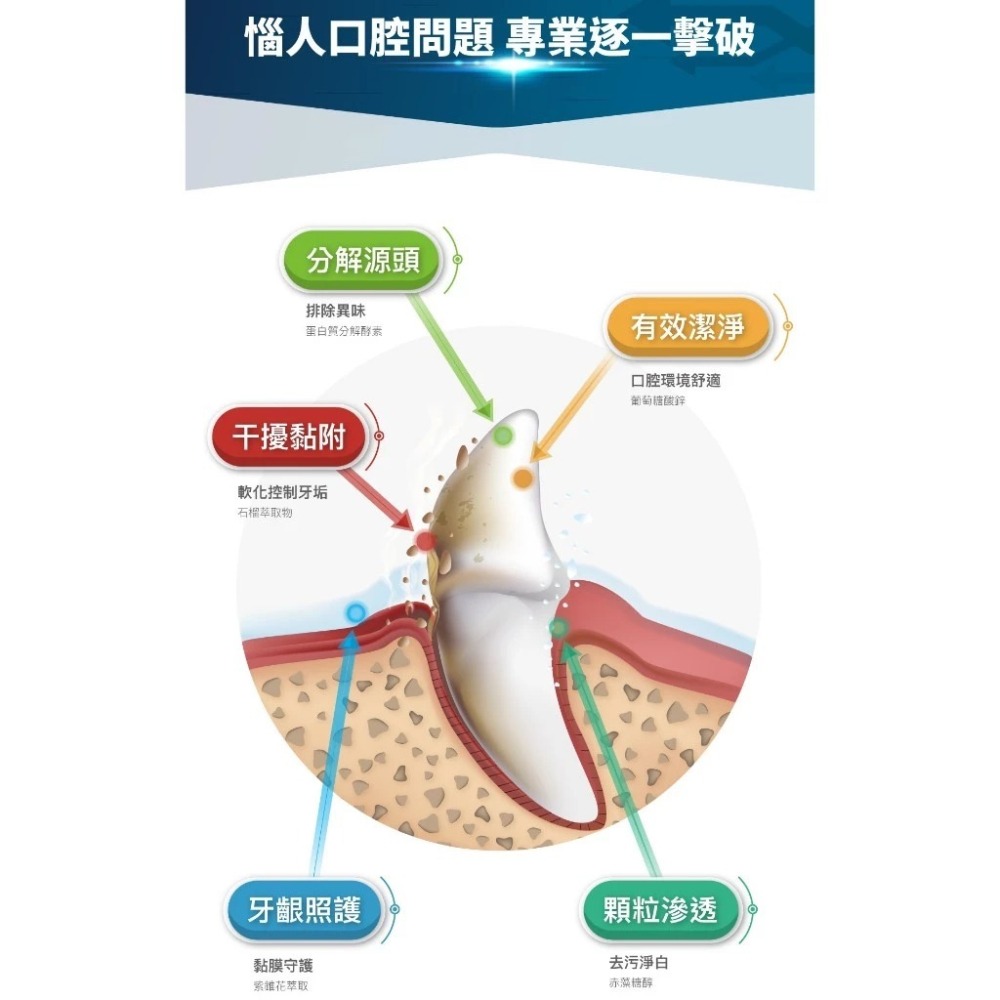 【10月活動 買2送1】MORESON 木入森 貓咪固齒麗口滴劑30ml/罐 貓咪專用 口腔-細節圖5