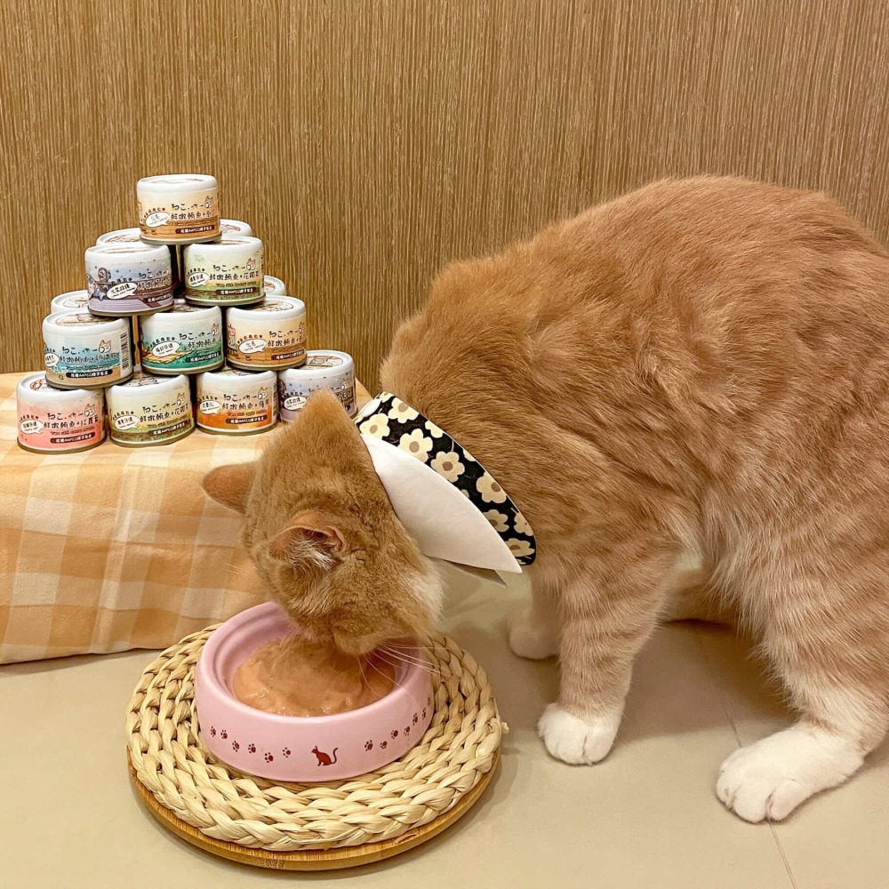 吶一口 無榖機能主食泥罐 60g 主食罐-細節圖3