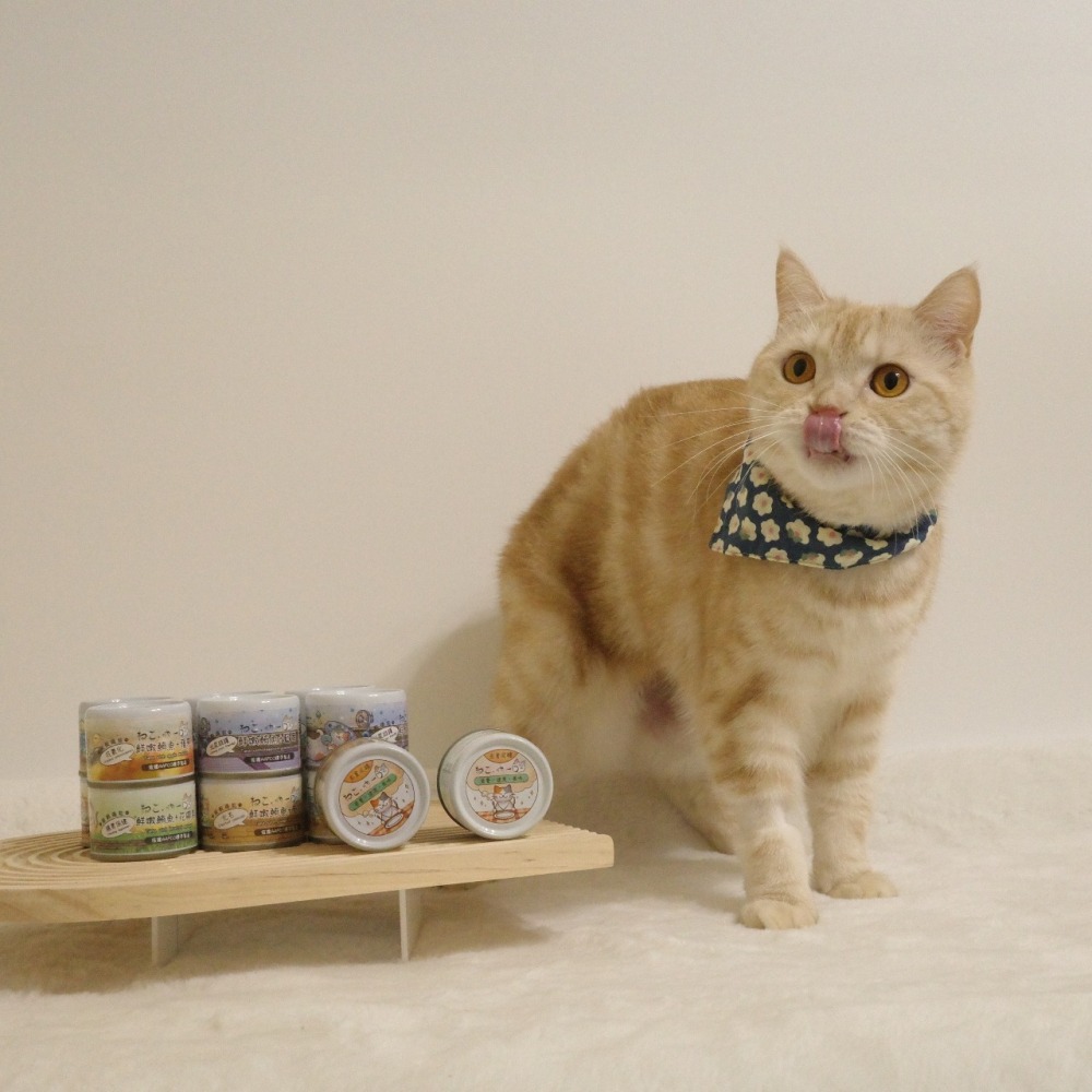 吶一口 無榖機能主食泥罐 60g 主食罐-細節圖4