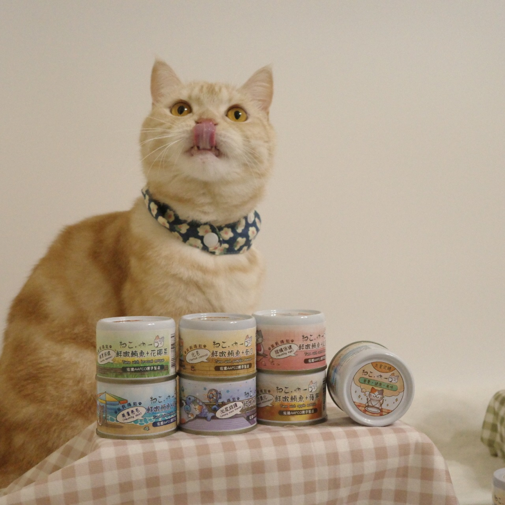 吶一口 無榖機能主食泥罐 60g 主食罐-細節圖5